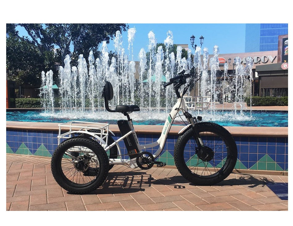 Emojo Caddy Pro 500W Electric Trike Review