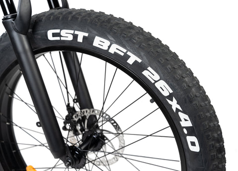 Rattan Pathfinder 750W All Terrain Fat Tire Electric Bike