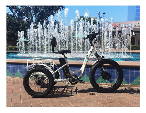 Emojo Caddy Pro Fat Tire Electric Trike