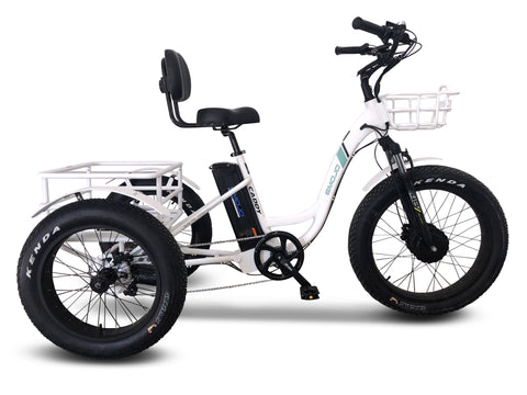 Emojo Caddy Pro Fat Tire Electric Trike