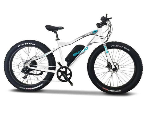 EMOJO Wildcat PRO 750W Fat Tire Electric Mountain Bike with Hydraulic Brakes