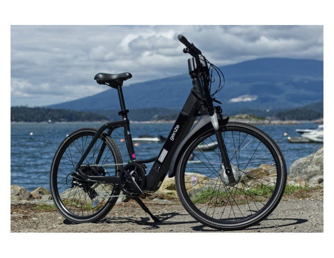 Genze E222 Step-Thru Matte Black Electric Bike 350 Watts