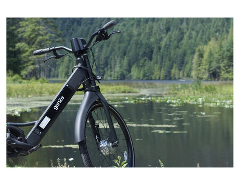 Genze E222 Step-Thru Matte Black Electric Bike 350 Watts