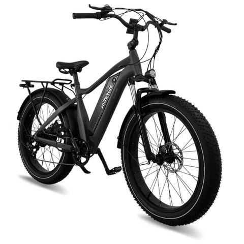 Voltaride Cruise 750W All Terrain Fat Tire Electric Bike