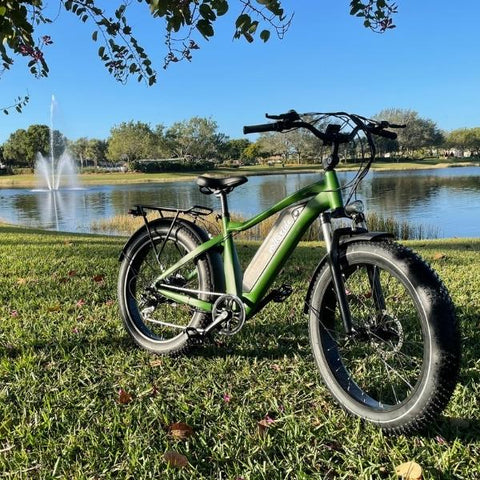 Voltaride Cruise 750W All Terrain Fat Tire Electric Bike