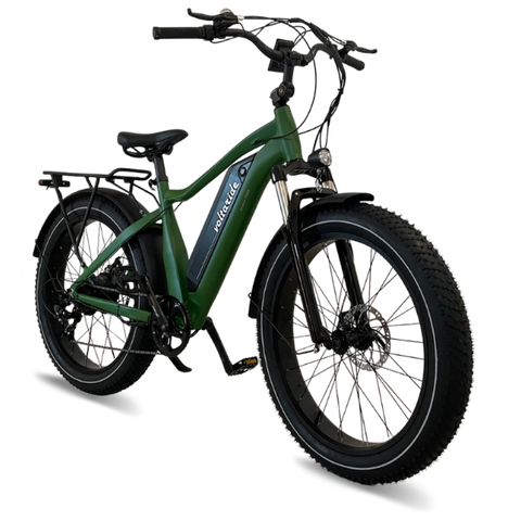 Voltaride Cruise All Terrain 750W Fat Tire Electric Bike