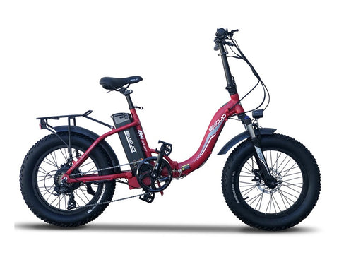 Folding Electric Bike