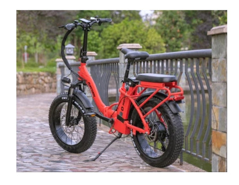 Rattan LF 750W Fat Tire Folding Electric Bike