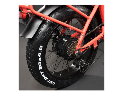 Rattan LF 750W Fat Tire Folding Electric Bike