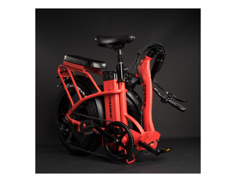 Rattan LF 750W Fat Tire Folding Electric Bike