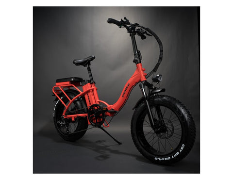 Rattan LF 750W Fat Tire Folding Electric Bike