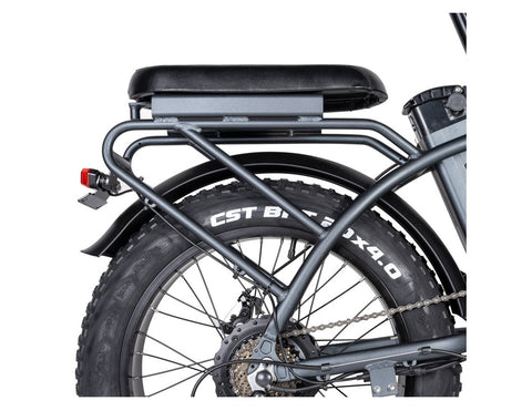 Rattan LM 750W Fat Tire Folding Electric Bike