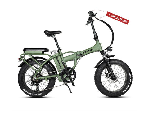 Rattan LM 750W Fat Tire Folding Electric Bike