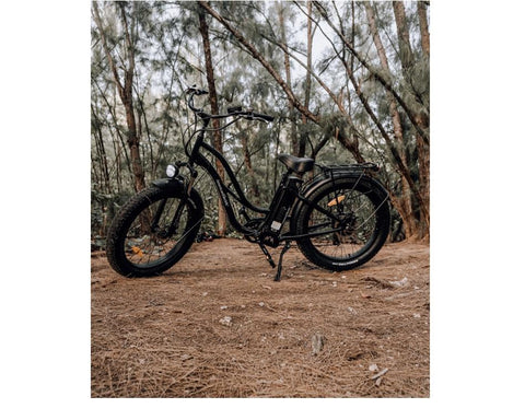 American Electric Steller 750W All Terrain Electric Bike