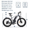 Rattan Pathfinder 750W All Terrain Fat Tire Electric Bike